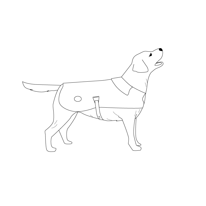 DOG COAT ドッグコートを着用した犬